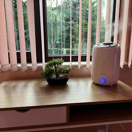 2-bedroom, 2-bathroom With Fireplace And Garden At Winslow Infinity 公寓 *